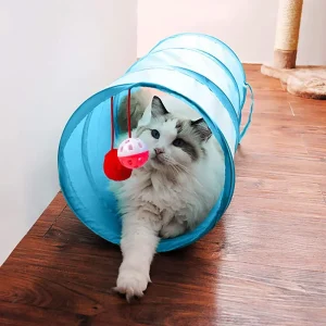 Foldable Cat Tunnel Toy 1